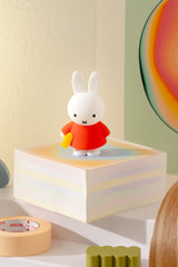 Smoko Miffy Doing Things Blind Box Figure