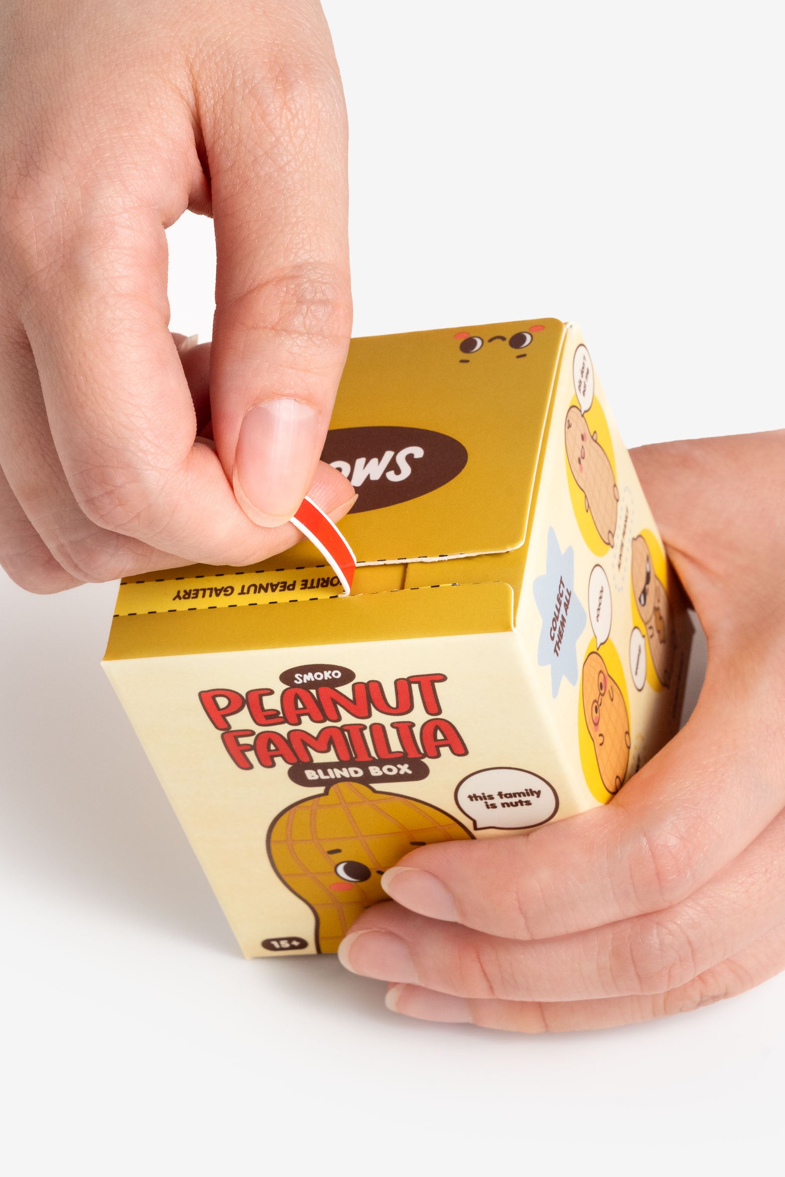 Smoko Peanut Familia Blind Box Figure