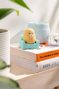 Smoko Tayto Potato Blind Box
